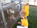 IMG_3110(1)